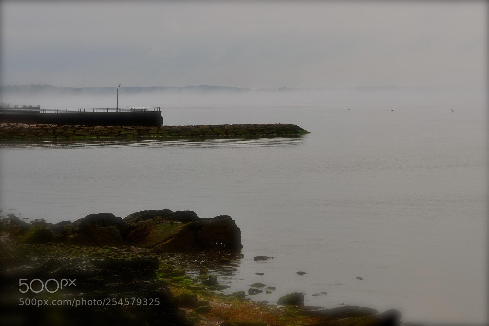 Nikon D7000 sample photo. Morning fog photography