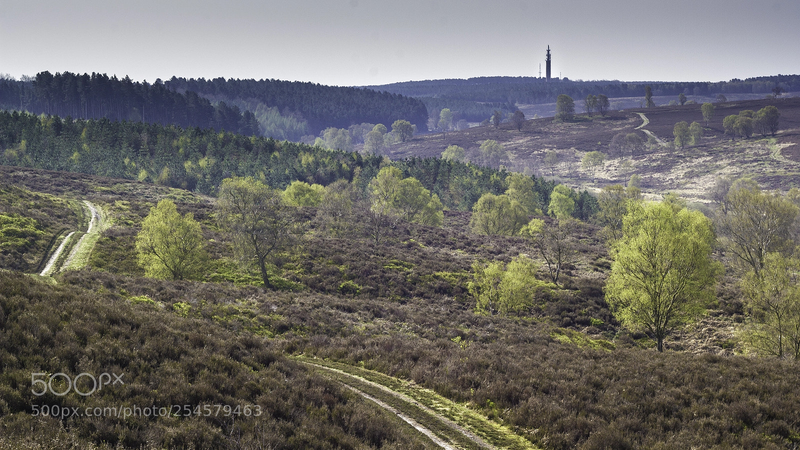 Canon EOS 550D (EOS Rebel T2i / EOS Kiss X4) sample photo. (over the hills) photography