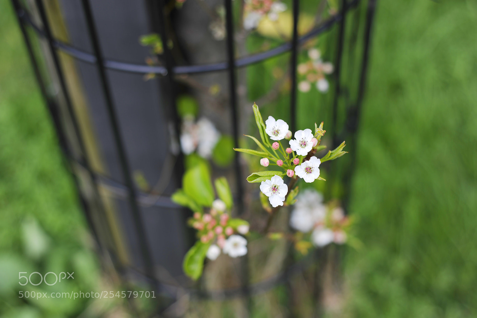 Nikon D700 sample photo. London tinny lover photography