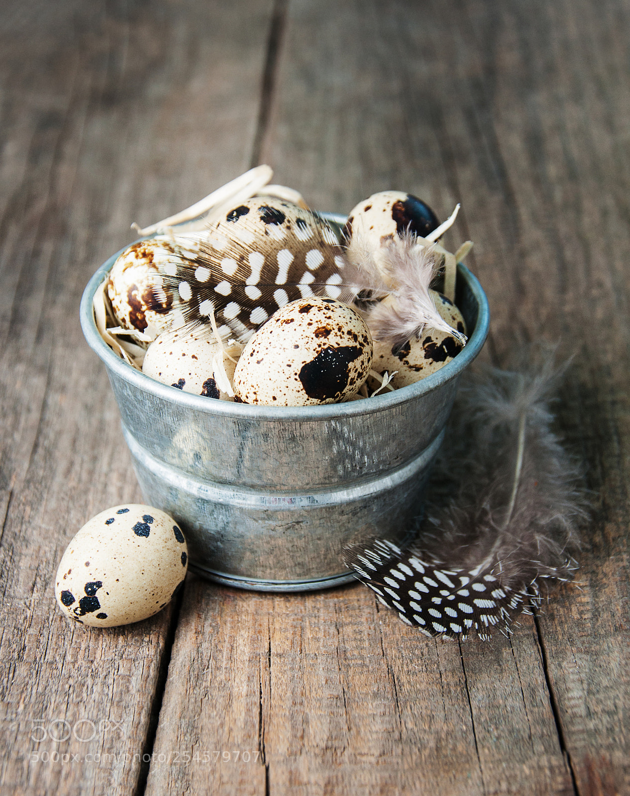 Nikon D90 sample photo. Quail eggs in a photography