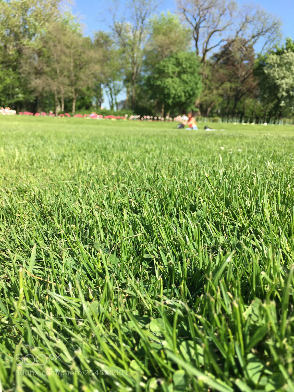 Apple iPhone 6s Plus sample photo. Untitled photography