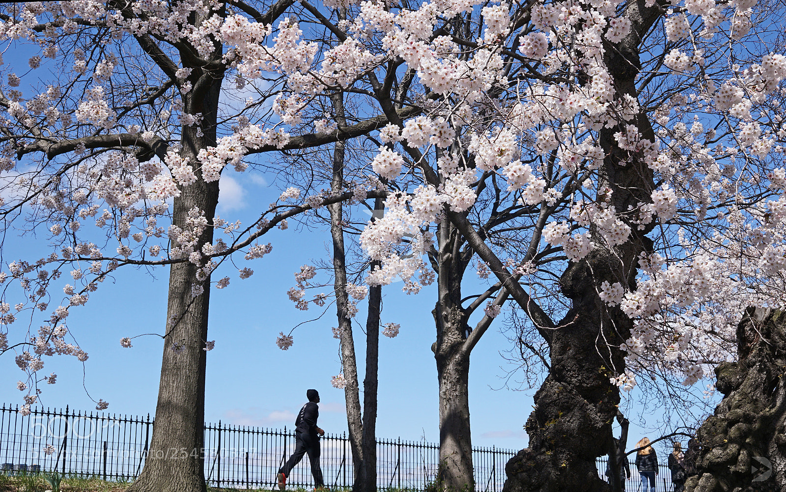 Sony a6000 sample photo. Running towards spring photography
