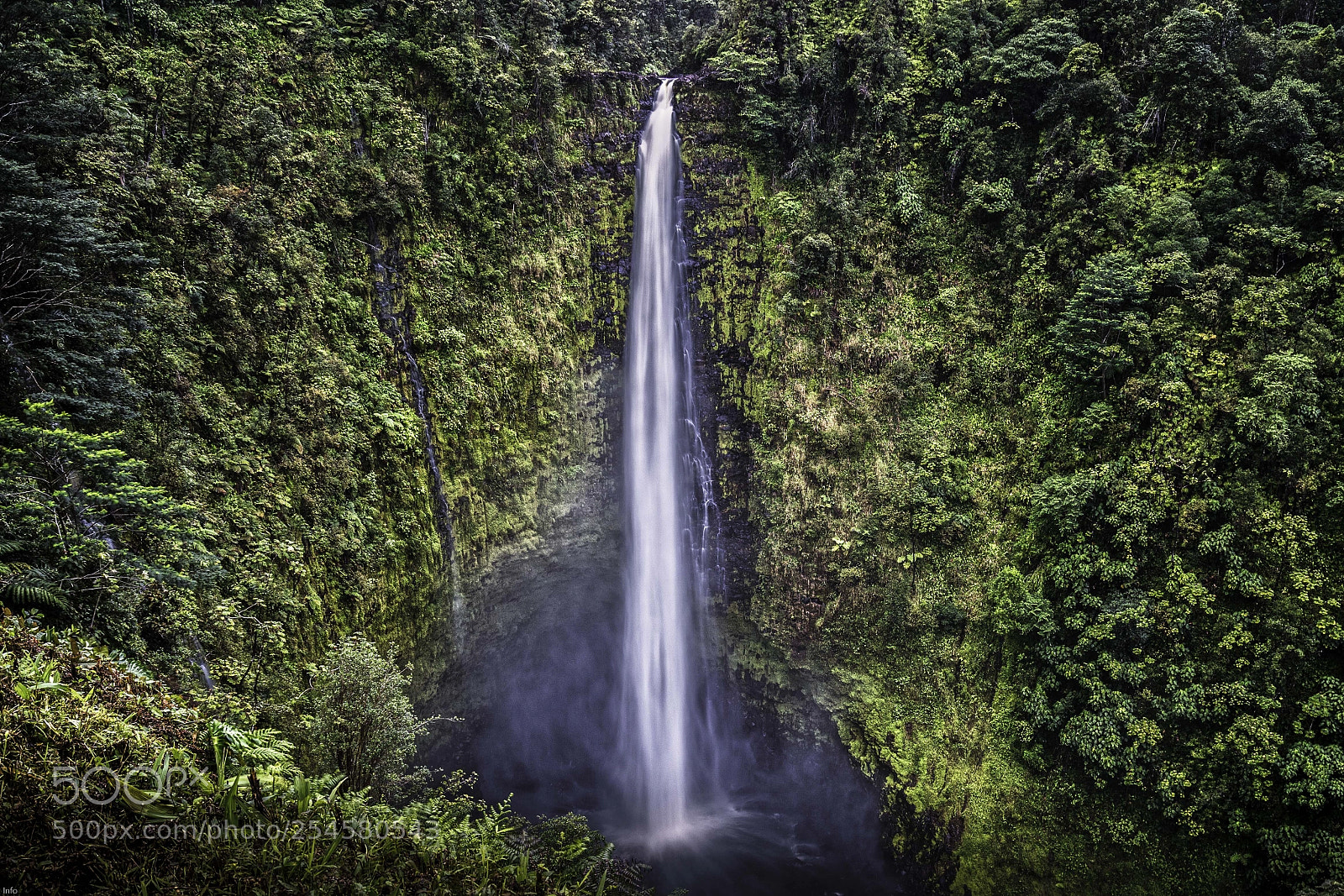 Leica SL (Typ 601) sample photo. Akaka falls photography