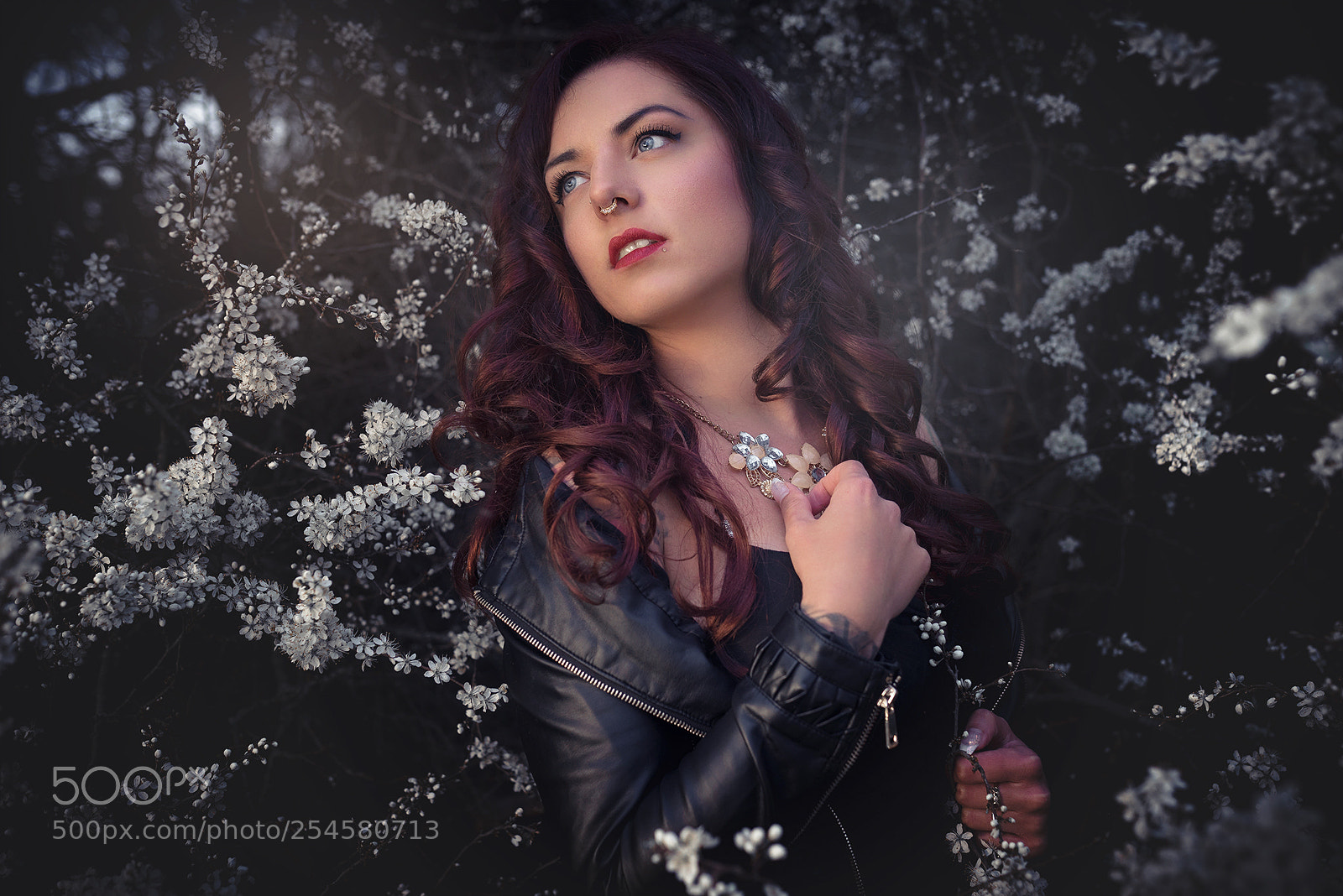 Sony a7R sample photo. Estrella photography