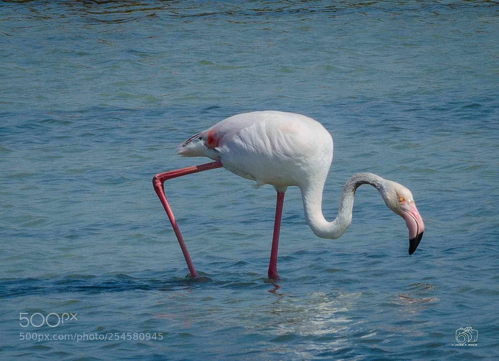 Nikon D7100 sample photo. Untitled photography