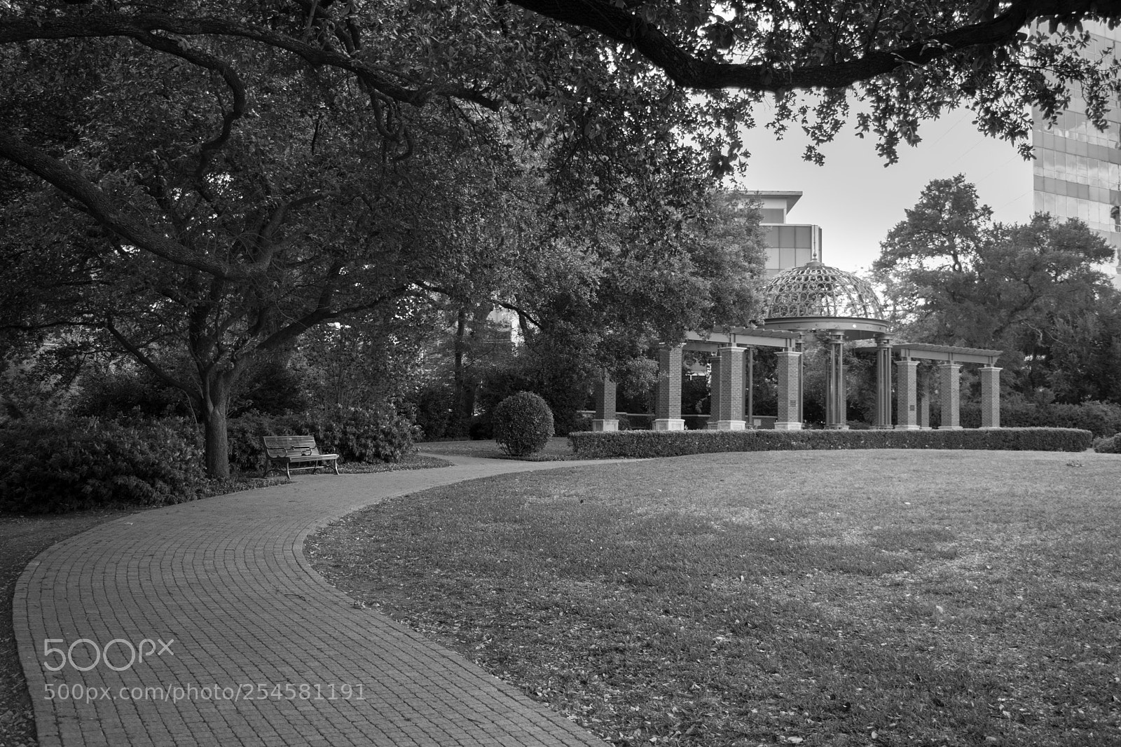 Nikon D3300 sample photo. Outdoors in dallas photography