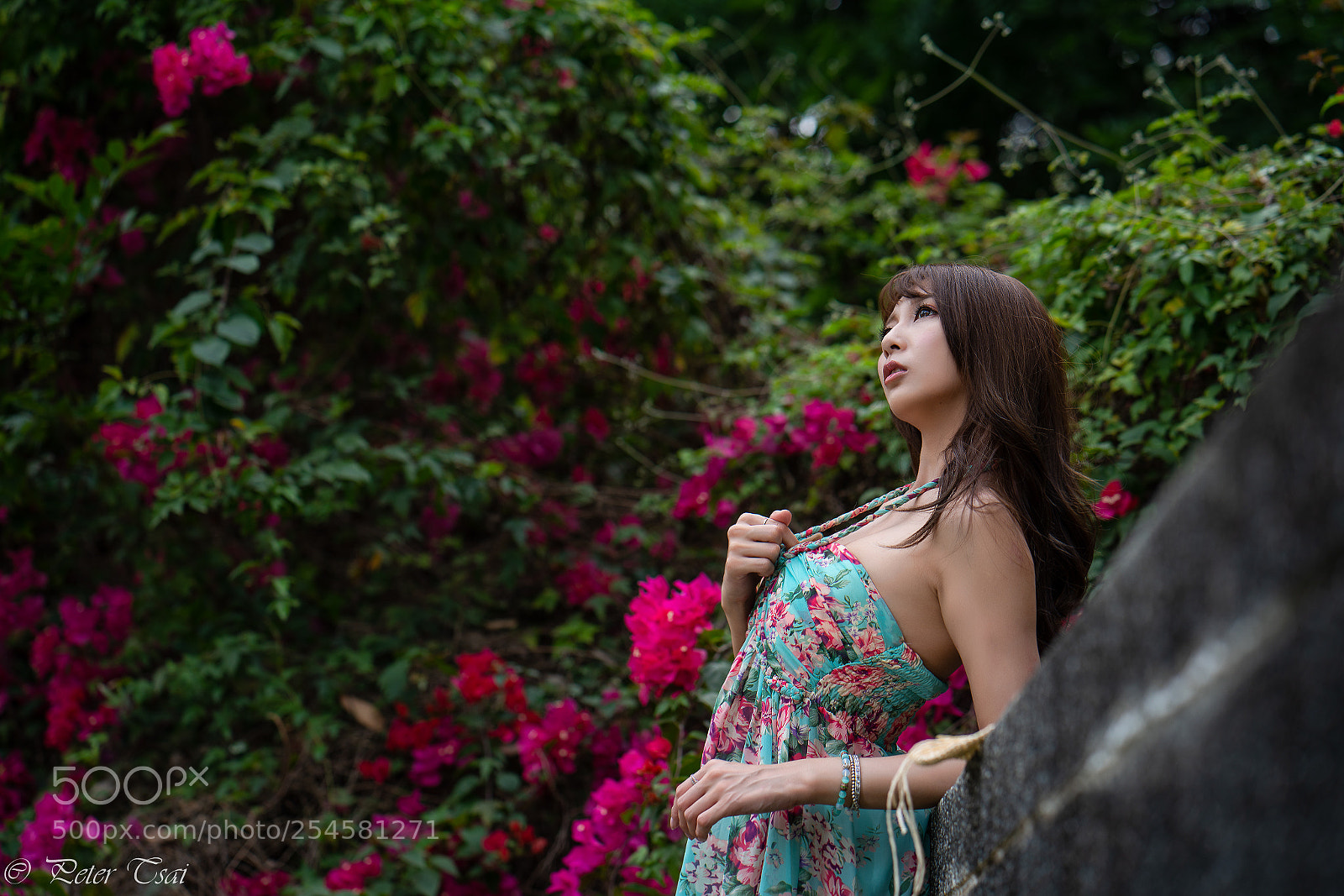 Sony a7R III sample photo. 羋夢 photography