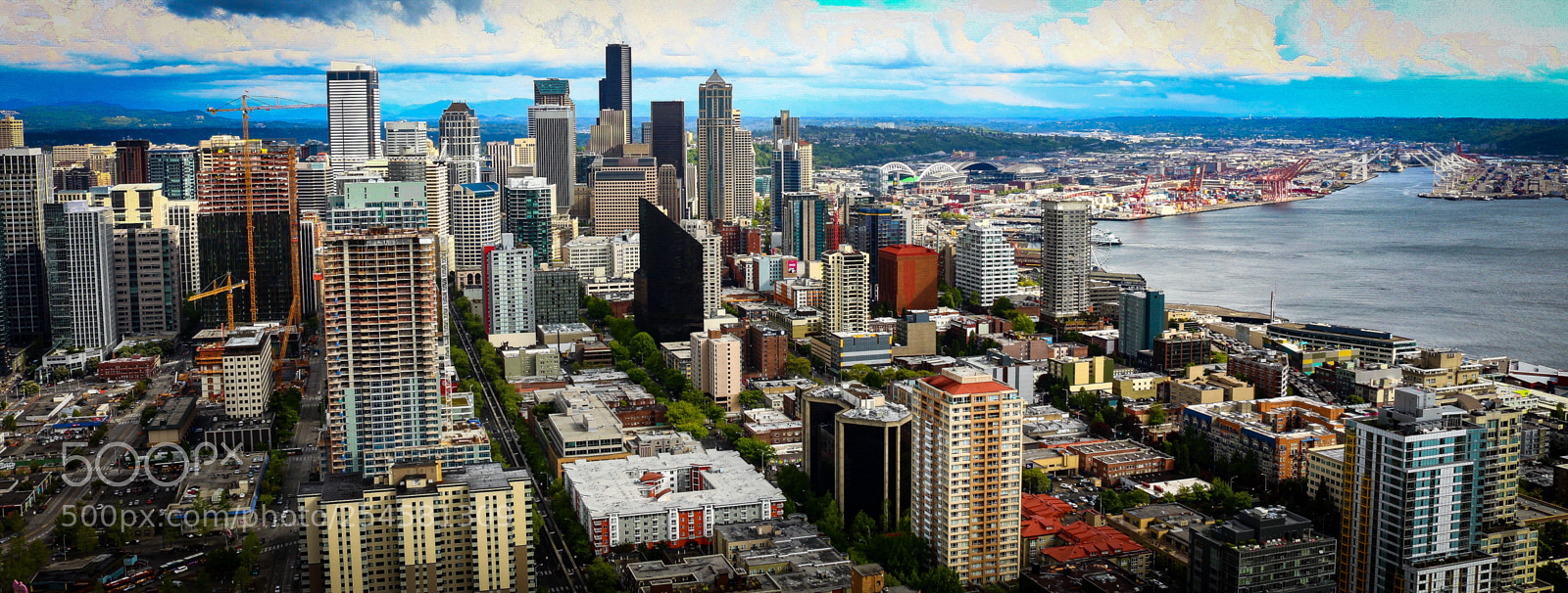 Canon EOS 700D (EOS Rebel T5i / EOS Kiss X7i) sample photo. Settled in seattle photography