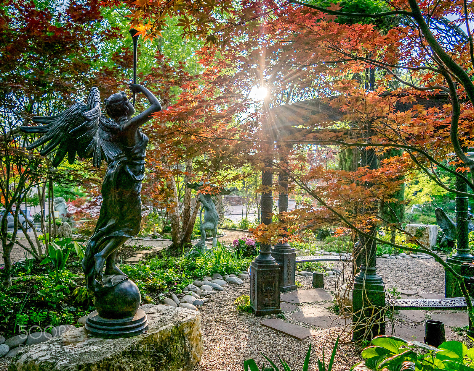Nikon D3300 sample photo. Angel and the sun photography