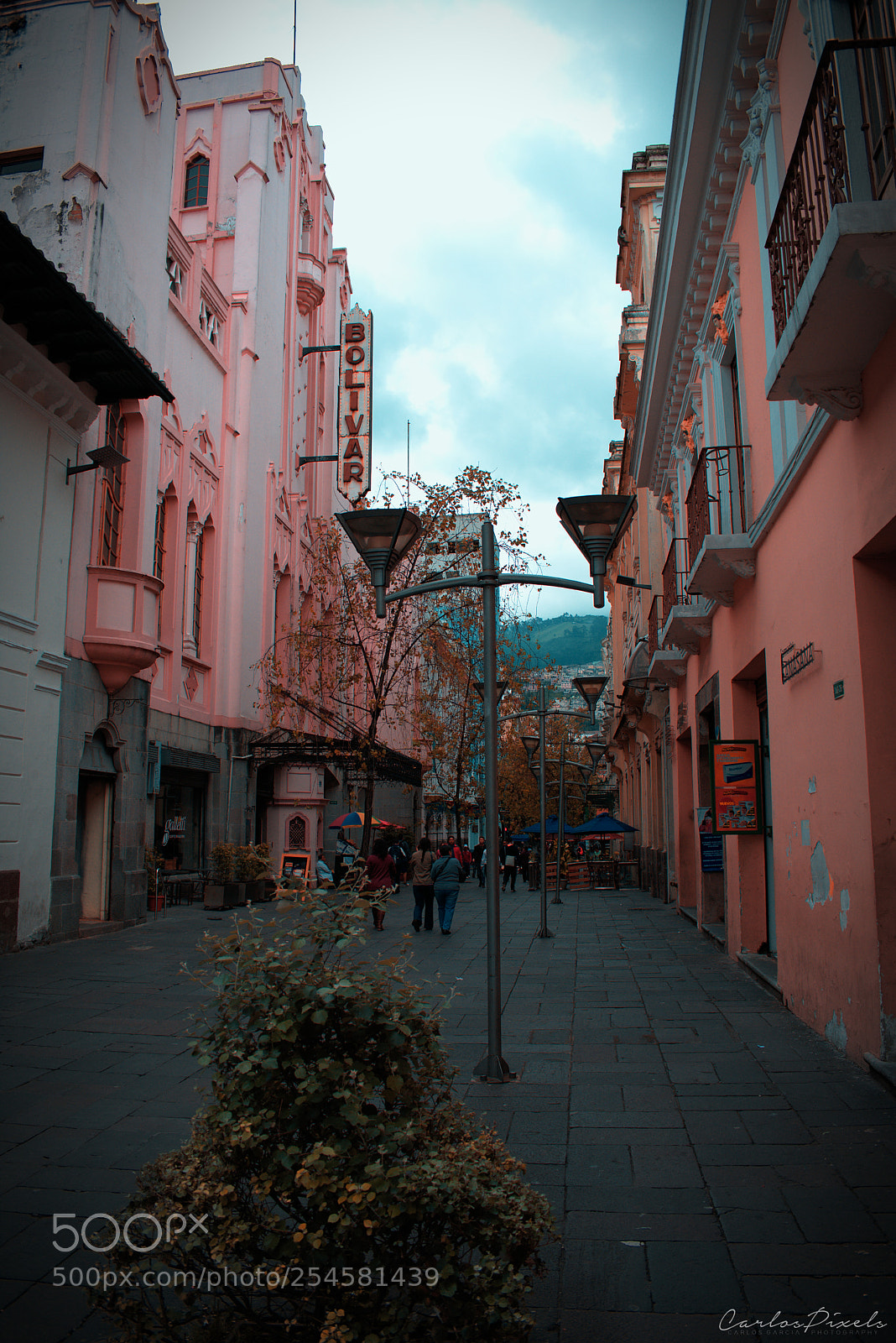 Nikon D3400 sample photo. Uio photography