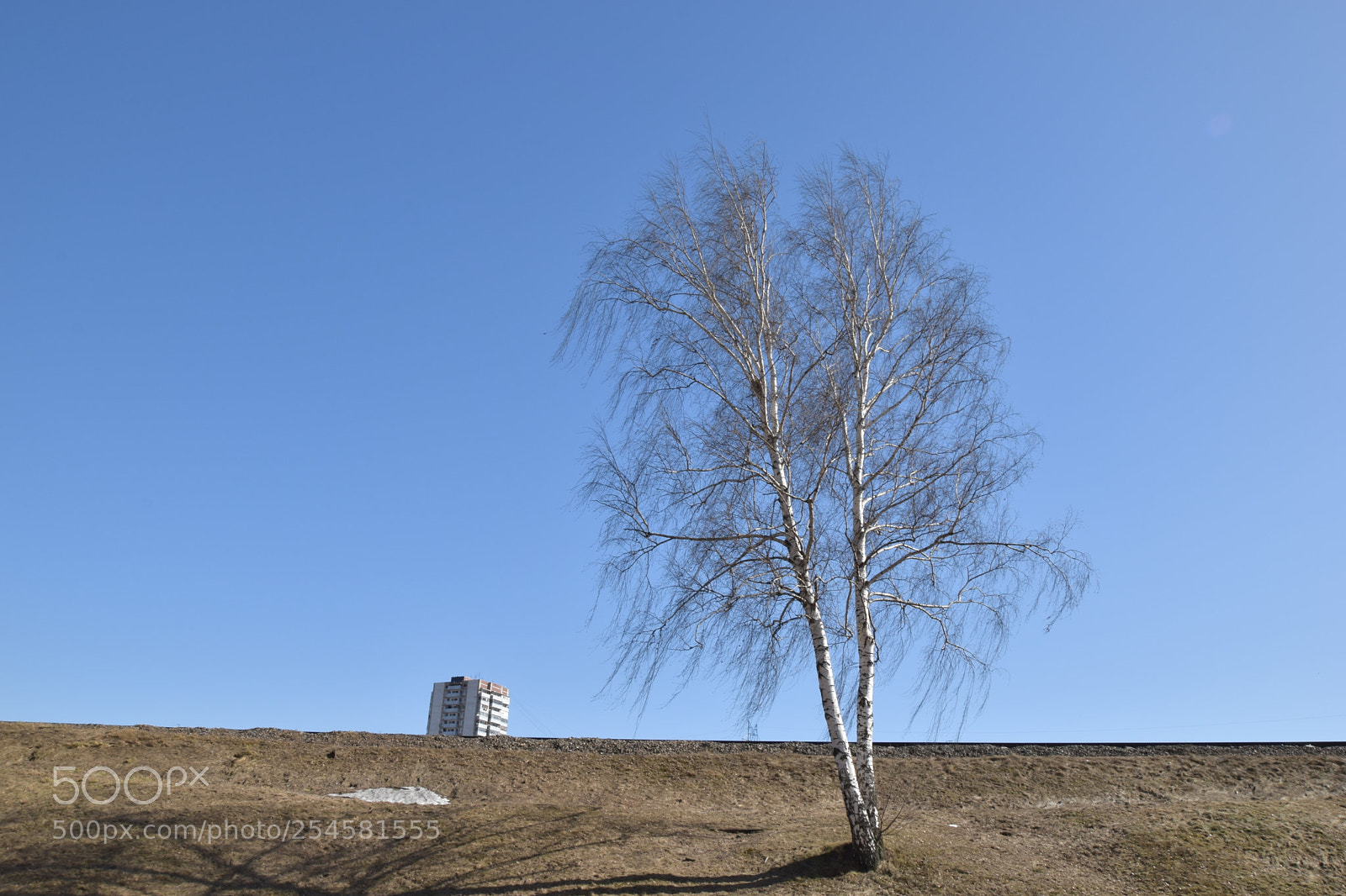 Nikon D3300 sample photo. Spring photography