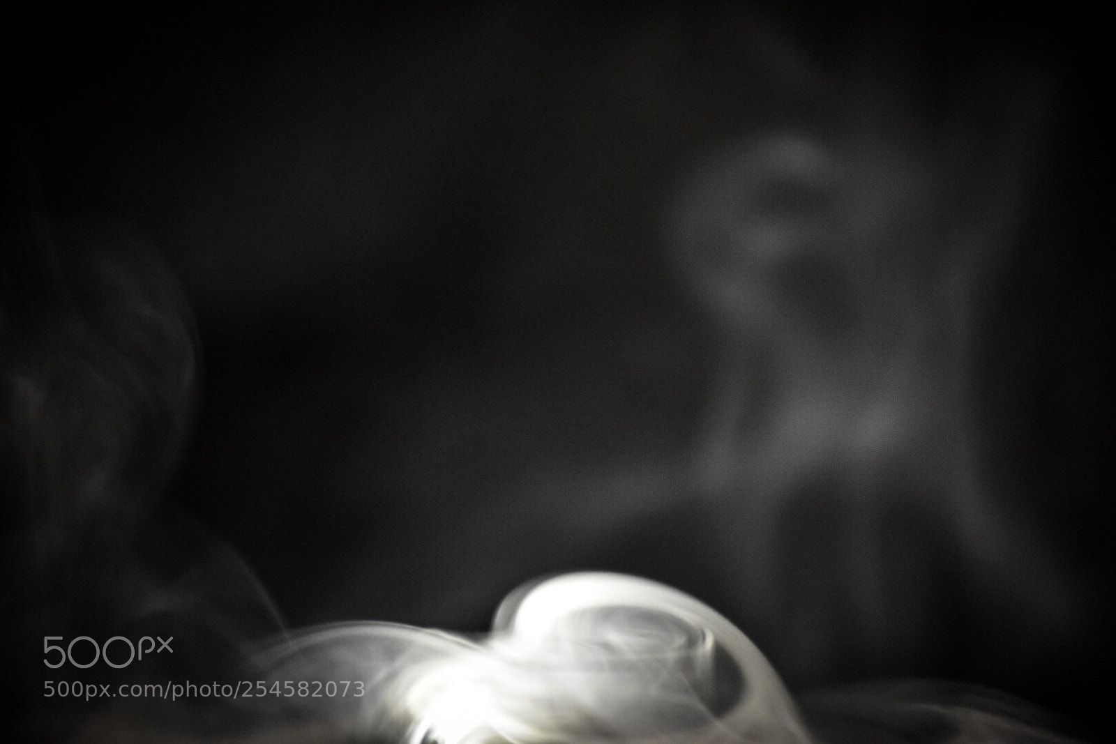 Nikon D7200 sample photo. Untitled photography