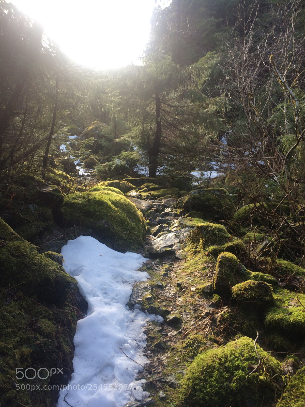 Apple iPhone 5s sample photo. Ketchikan,ak photography