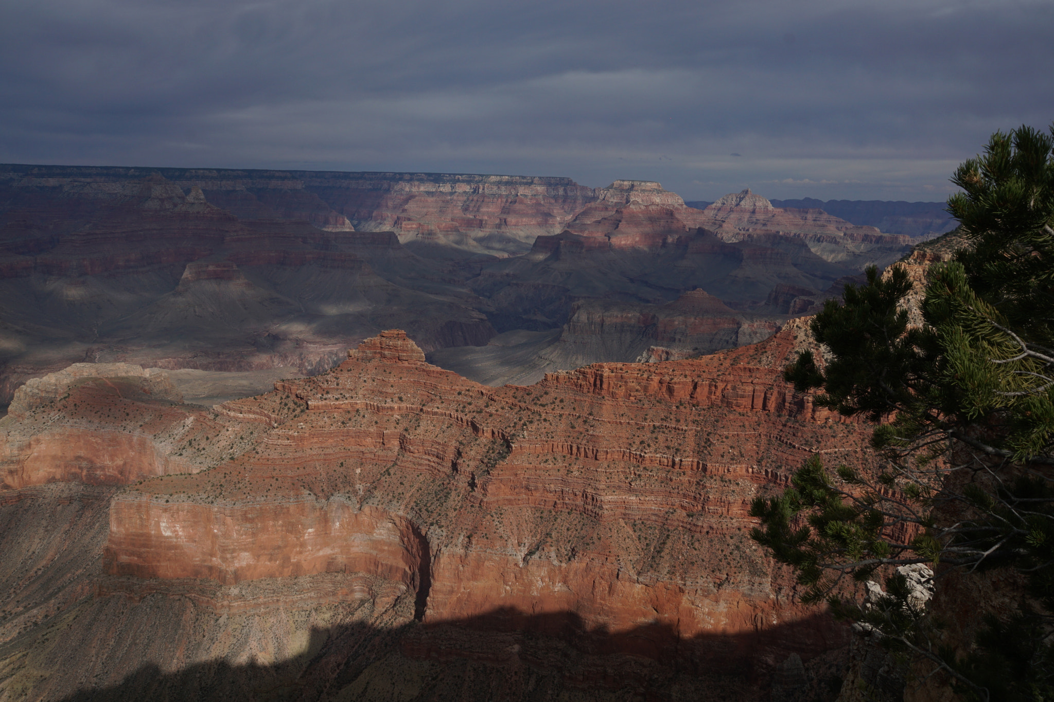 Sony ILCA-77M2 sample photo. Grand canyon photography