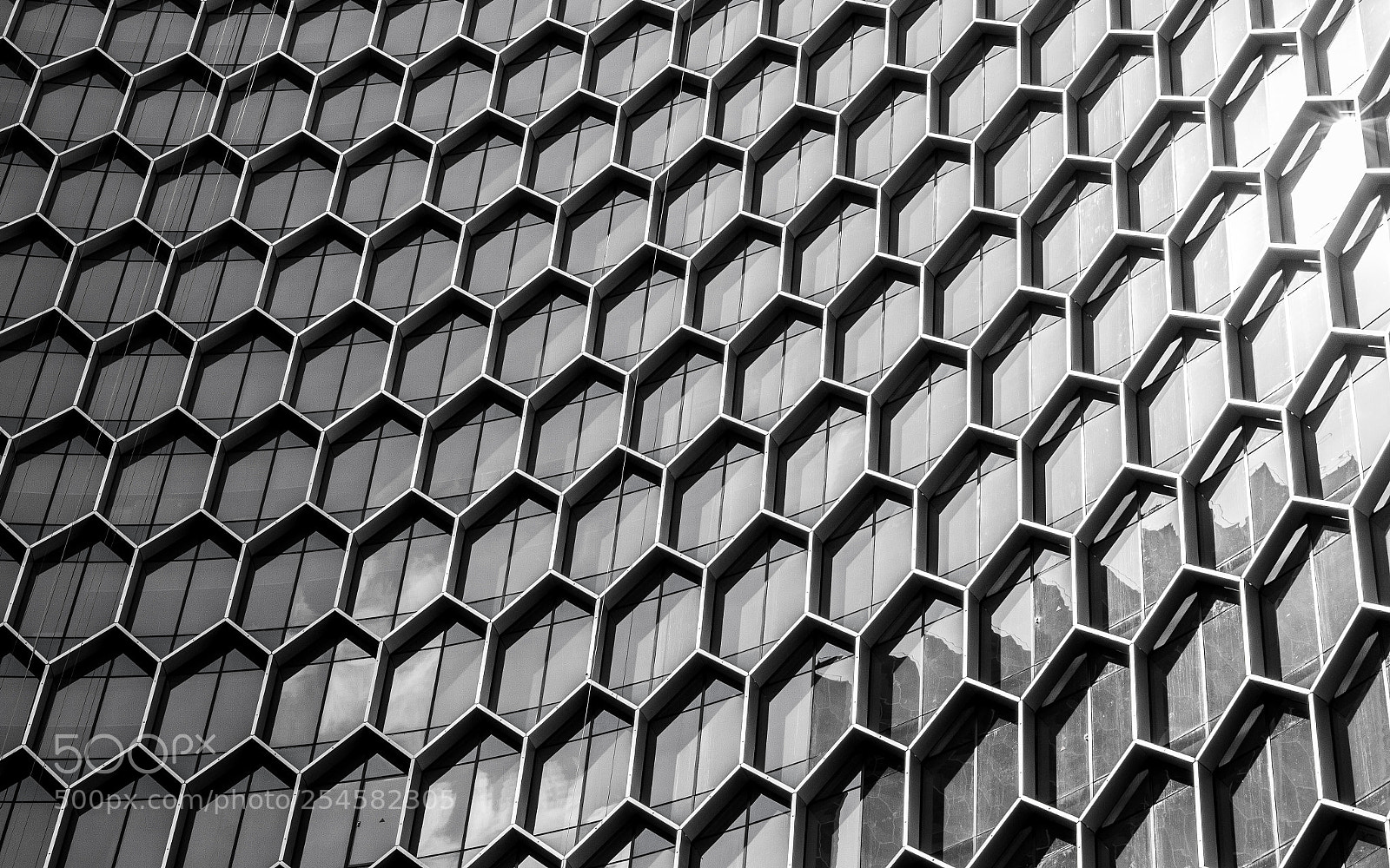 Canon EOS 7D sample photo. Honey geometric photography