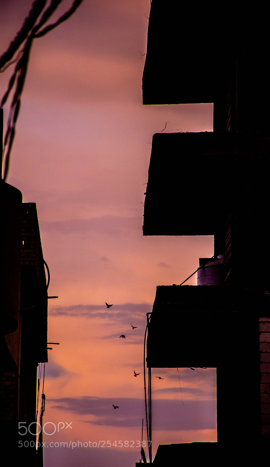 Nikon D7100 sample photo. Sun set photography