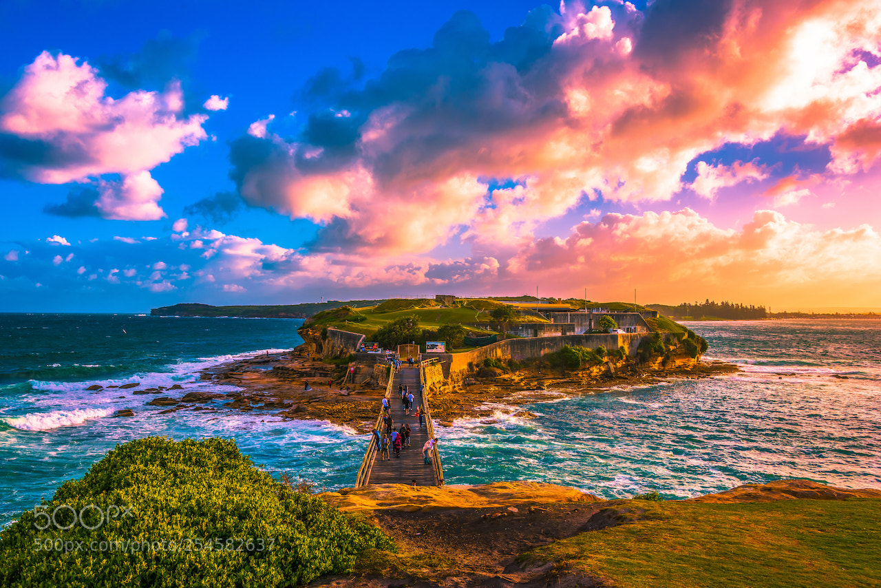 Nikon D810 sample photo. Sunset scene photography