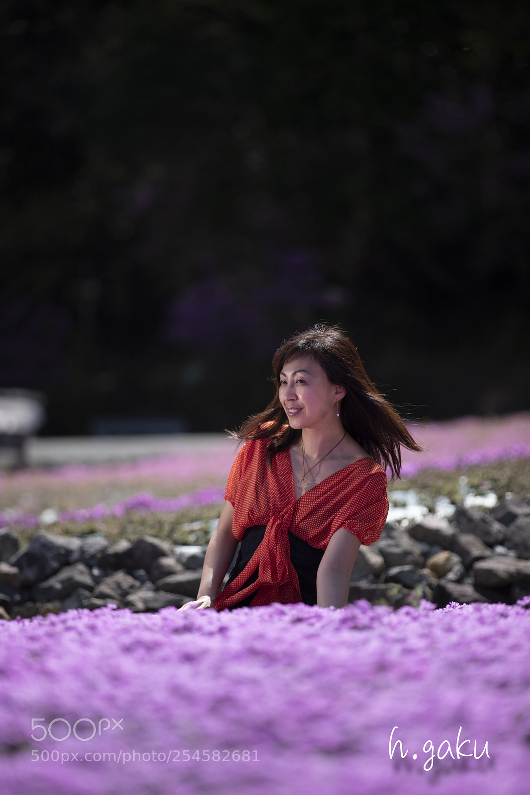 Canon EOS 6D Mark II sample photo. 芝桜 photography