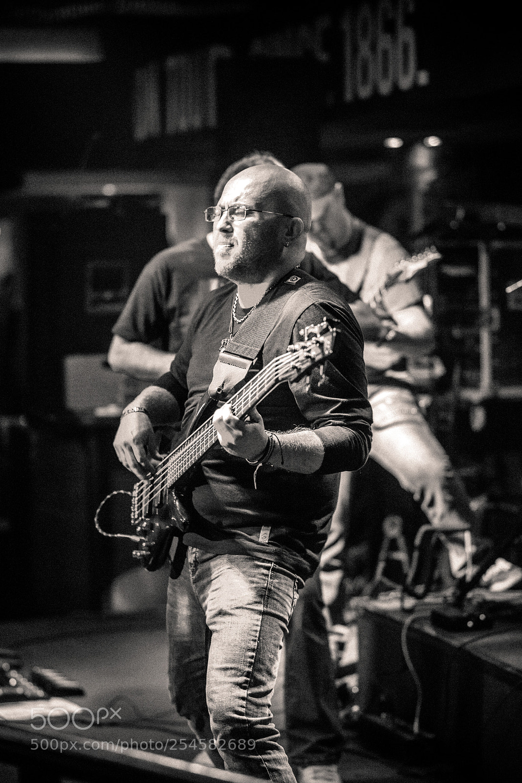 Nikon D610 sample photo. Feel the bass photography
