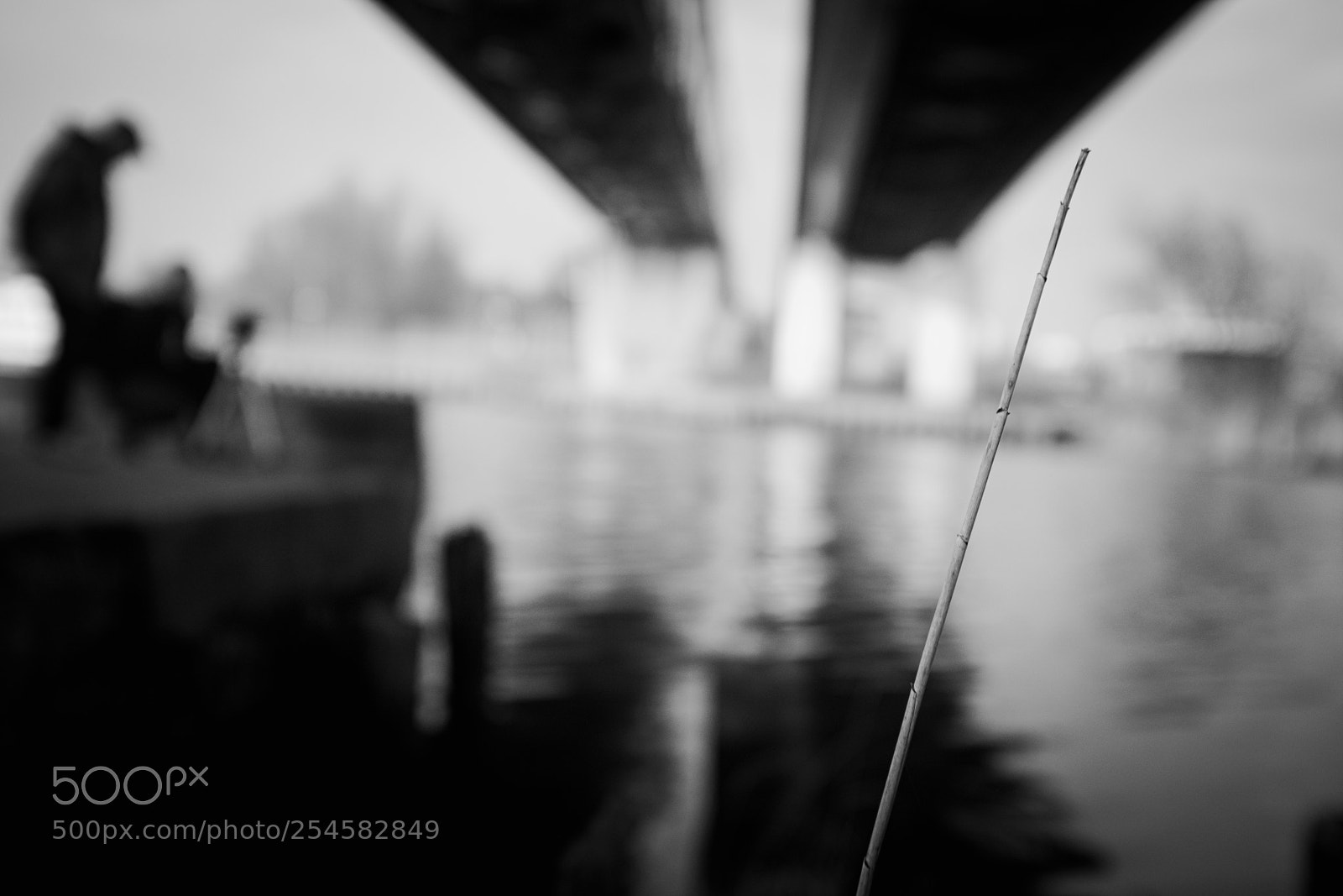 Fujifilm X100T sample photo. The one photography