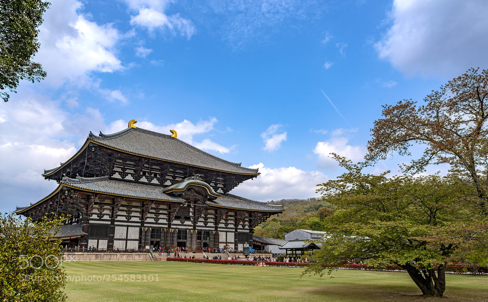 Nikon D750 sample photo. Tōdai-ji temple photography
