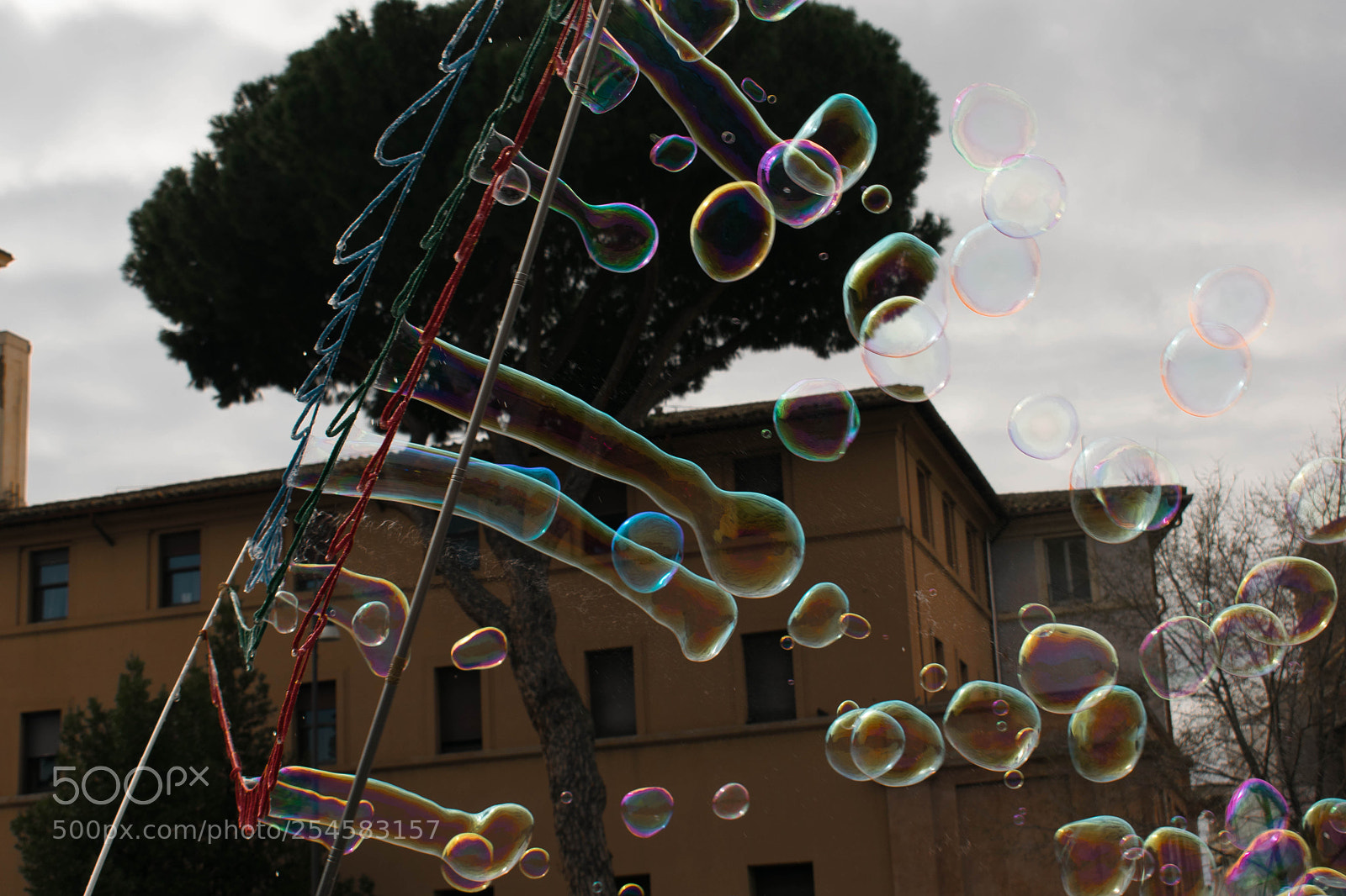Nikon D3300 sample photo. Bubbles photography
