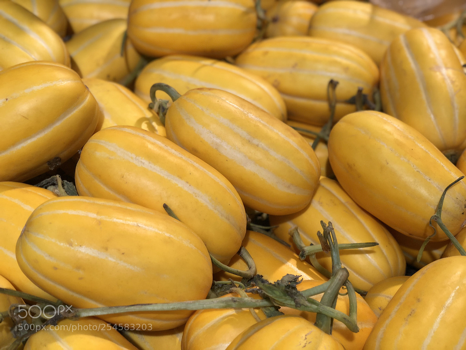 Apple iPhone X sample photo. Muskmelon photography
