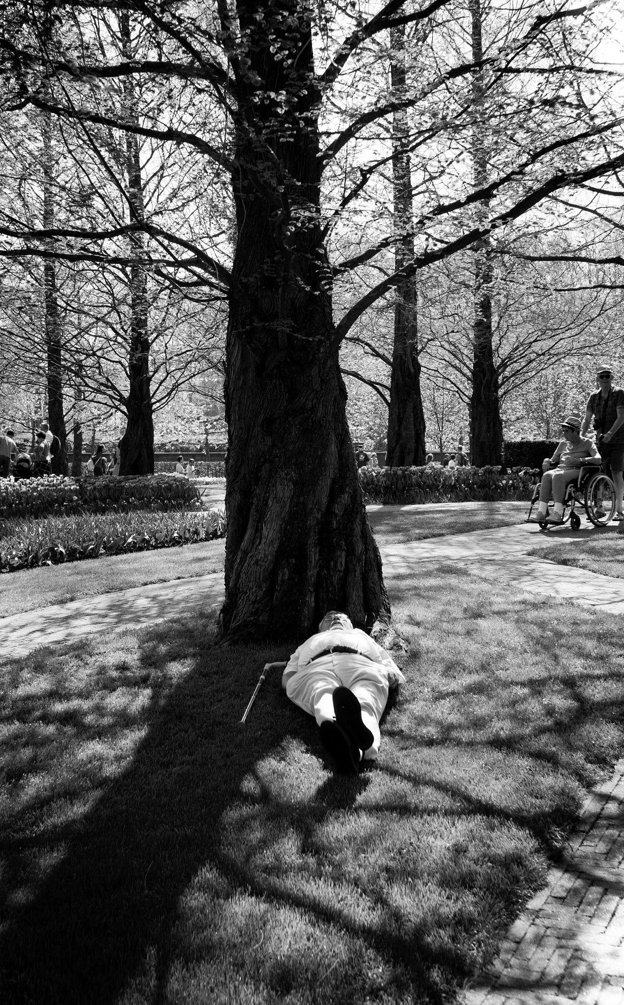 Leica X (Typ 113) sample photo. Hcb photography