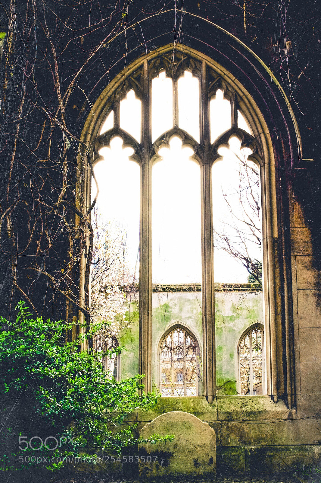 Nikon D7200 sample photo. Window  photography