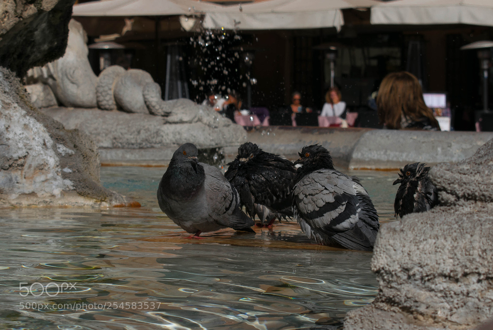 Nikon D3300 sample photo. Guardians of the pantheon photography