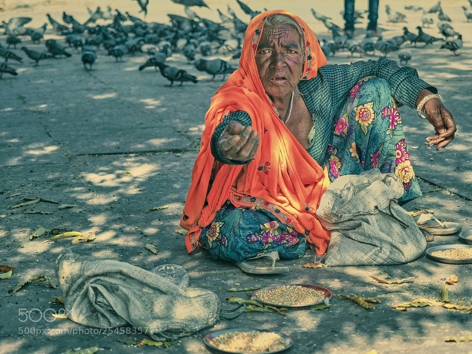 Olympus OM-D E-M1 Mark II sample photo. Pigeon grandma photography