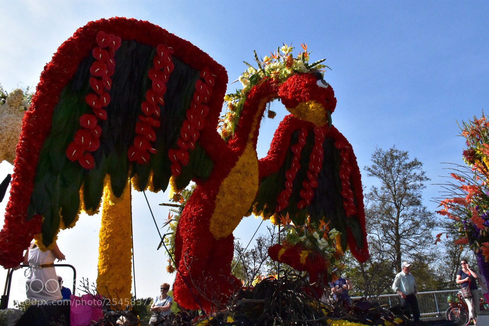 Nikon D7200 sample photo. Flowerparade lisse  photography