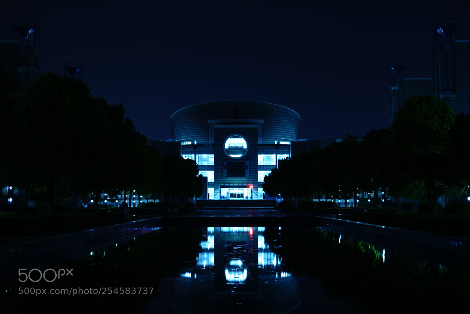 Sony a7 II sample photo. Library photography