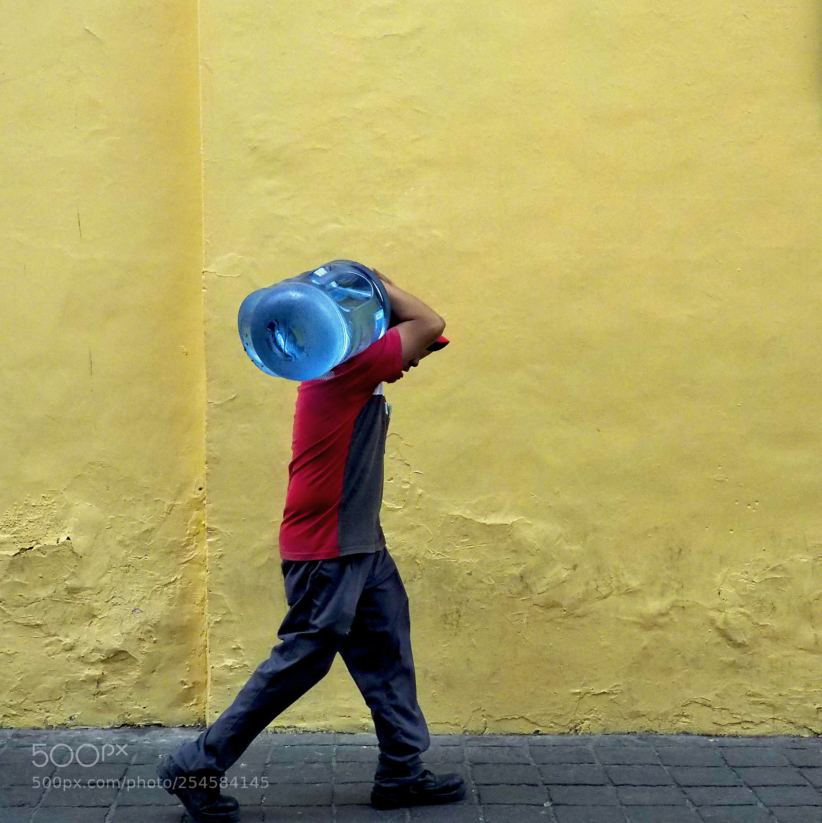 Olympus OM-D E-M5 II sample photo. Water carrier photography
