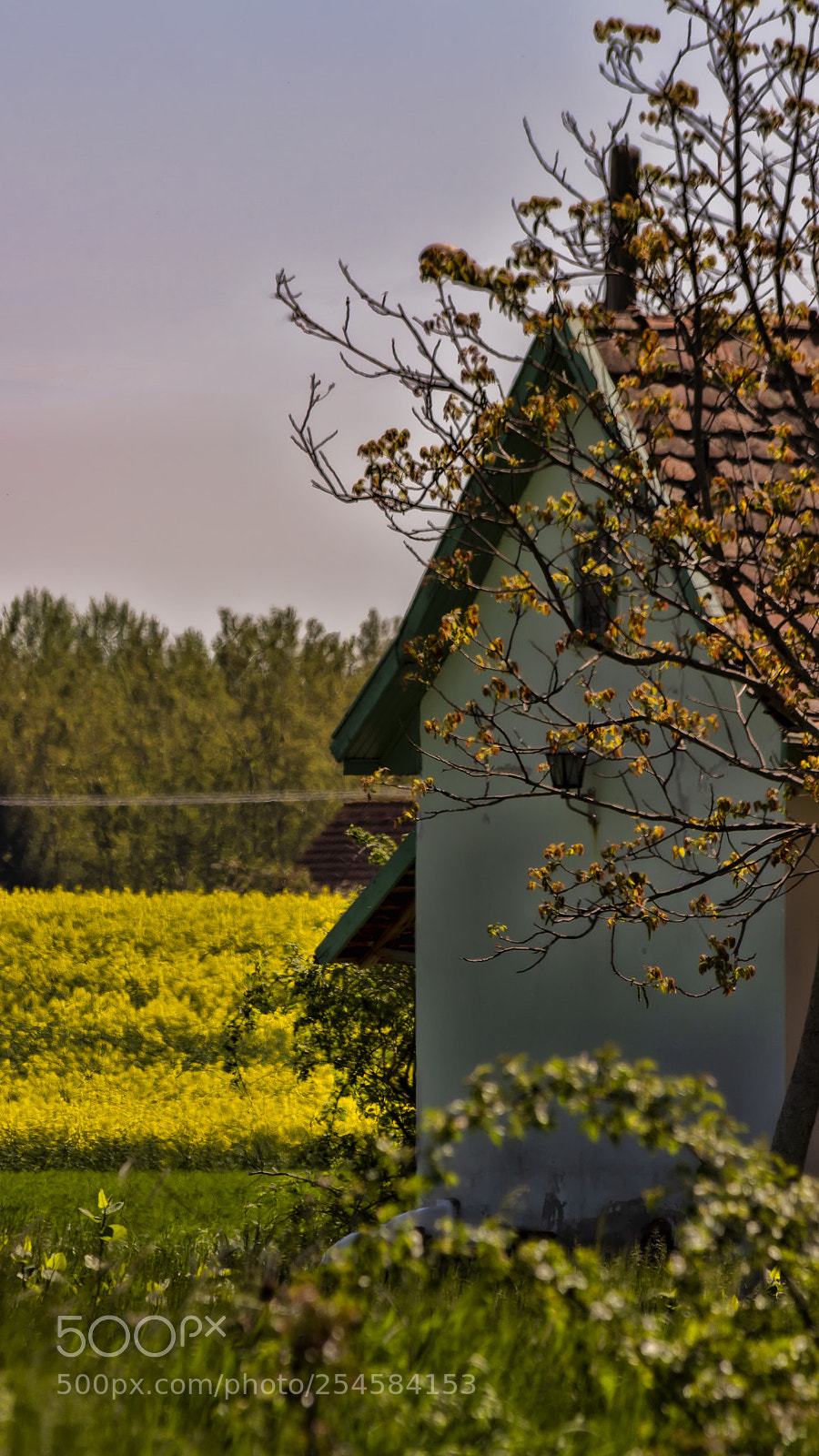Canon EOS 700D (EOS Rebel T5i / EOS Kiss X7i) sample photo. Along the border photography