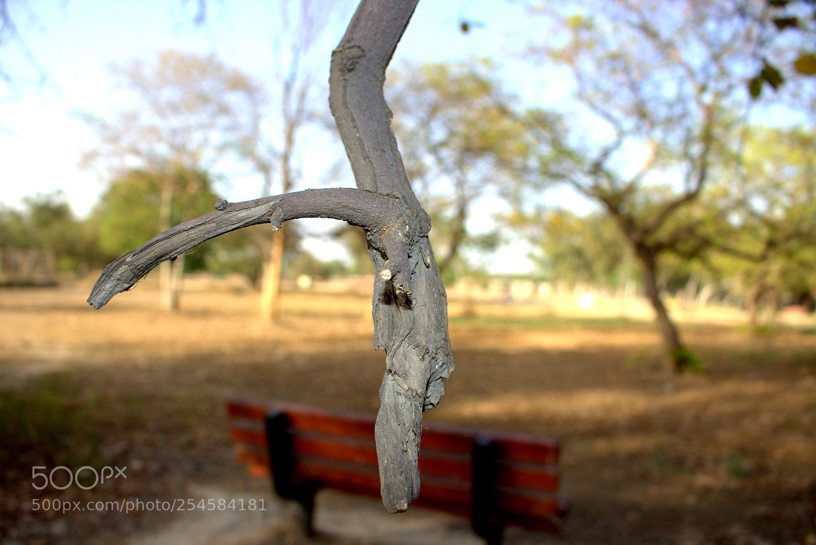 Canon EOS 700D (EOS Rebel T5i / EOS Kiss X7i) sample photo. From eye photography