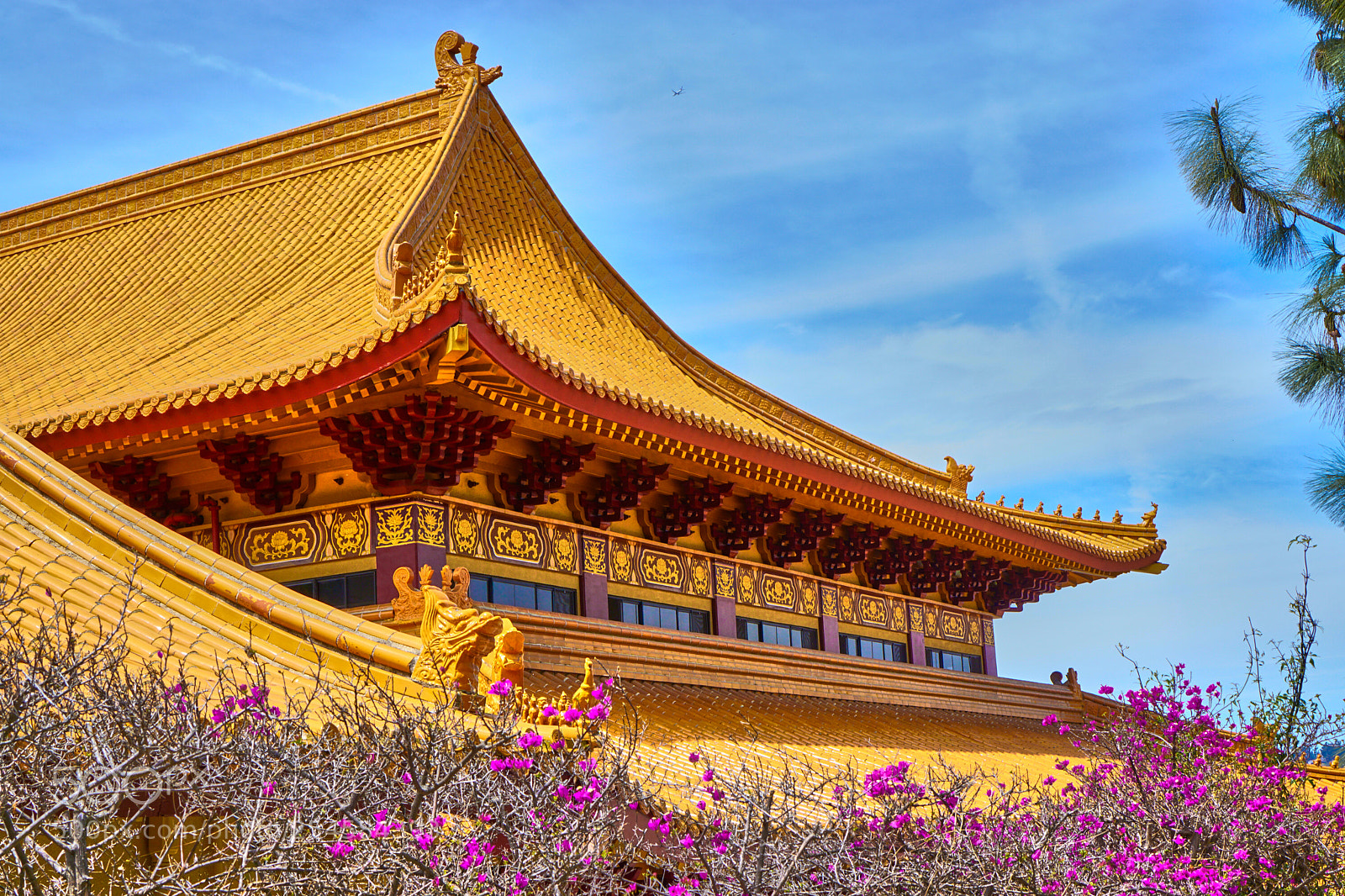 Sony a6000 sample photo. Hsi lai temple photography