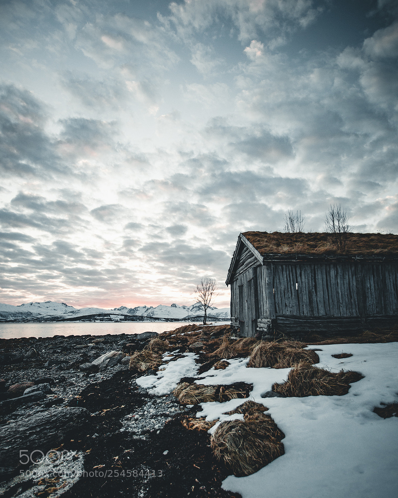 Canon EOS 5D Mark II sample photo. Holt photography