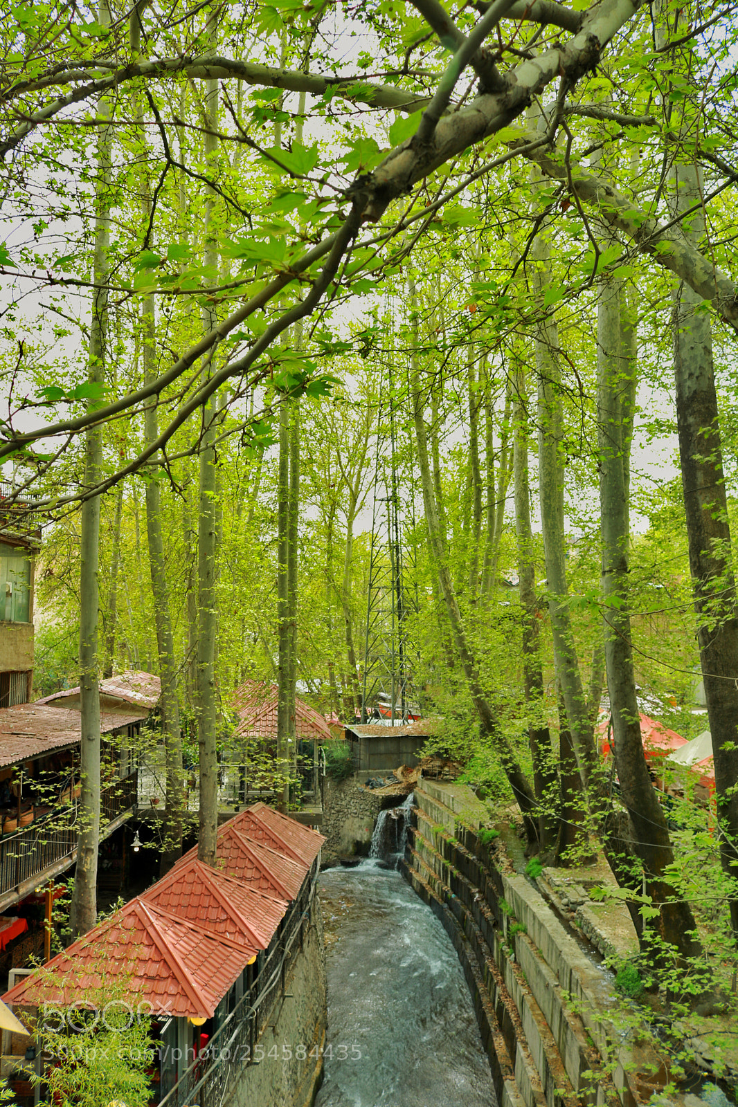 Canon EOS 750D (EOS Rebel T6i / EOS Kiss X8i) sample photo. Iran , tehran , darband photography