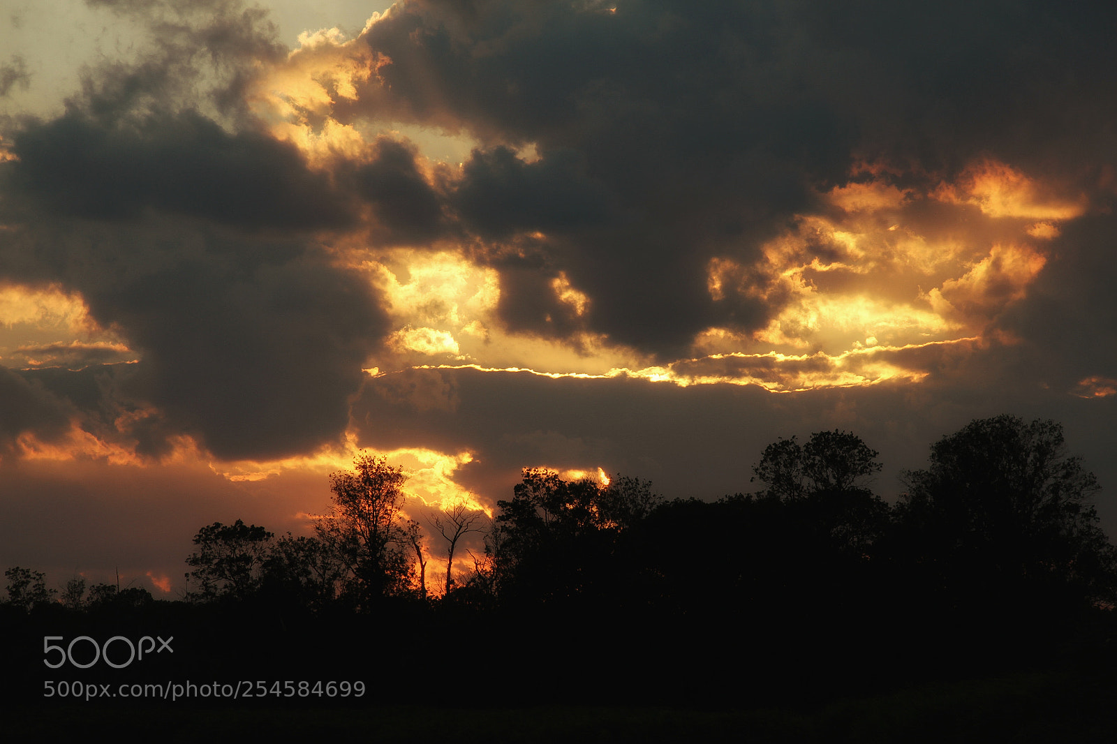 Canon EOS 7D sample photo. Untitled photography