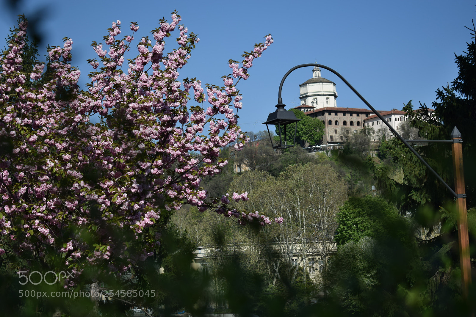 Nikon D5300 sample photo. Monte dei cappuccini photography