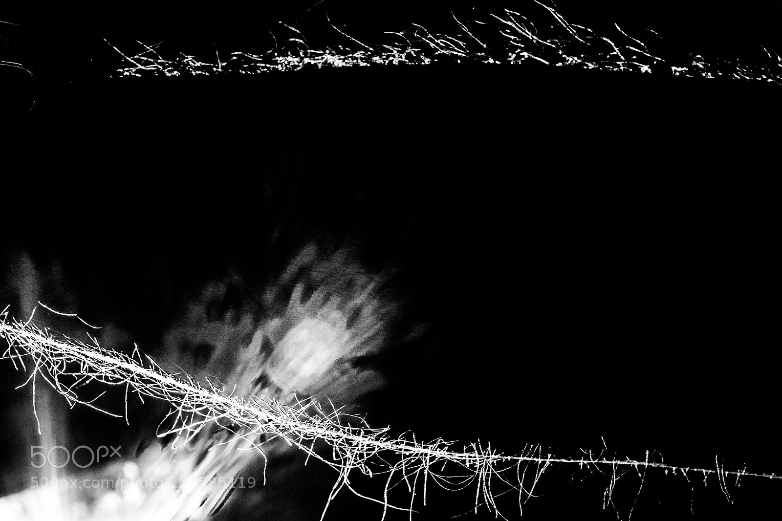 Fujifilm X-E2 sample photo. Arm photography