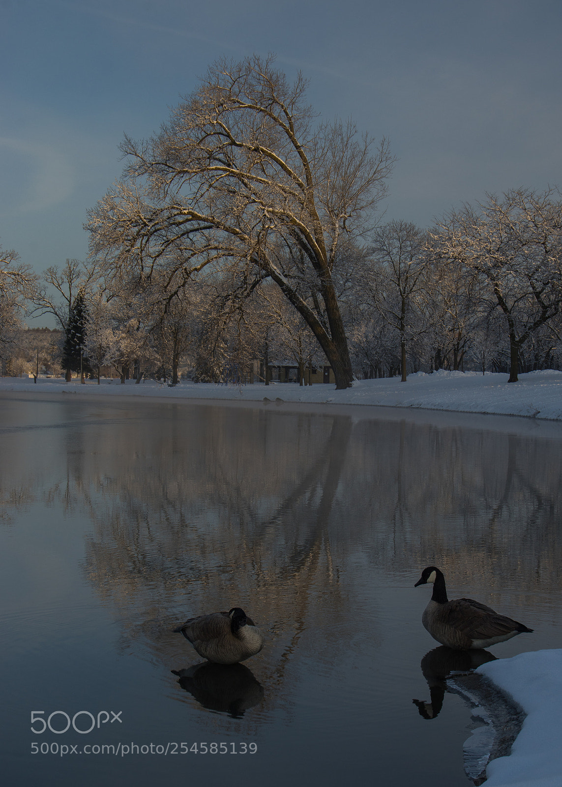 Pentax K-3 II sample photo. Winter reflections photography