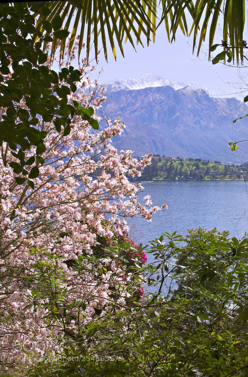 Nikon D3100 sample photo. Colors of spring photography