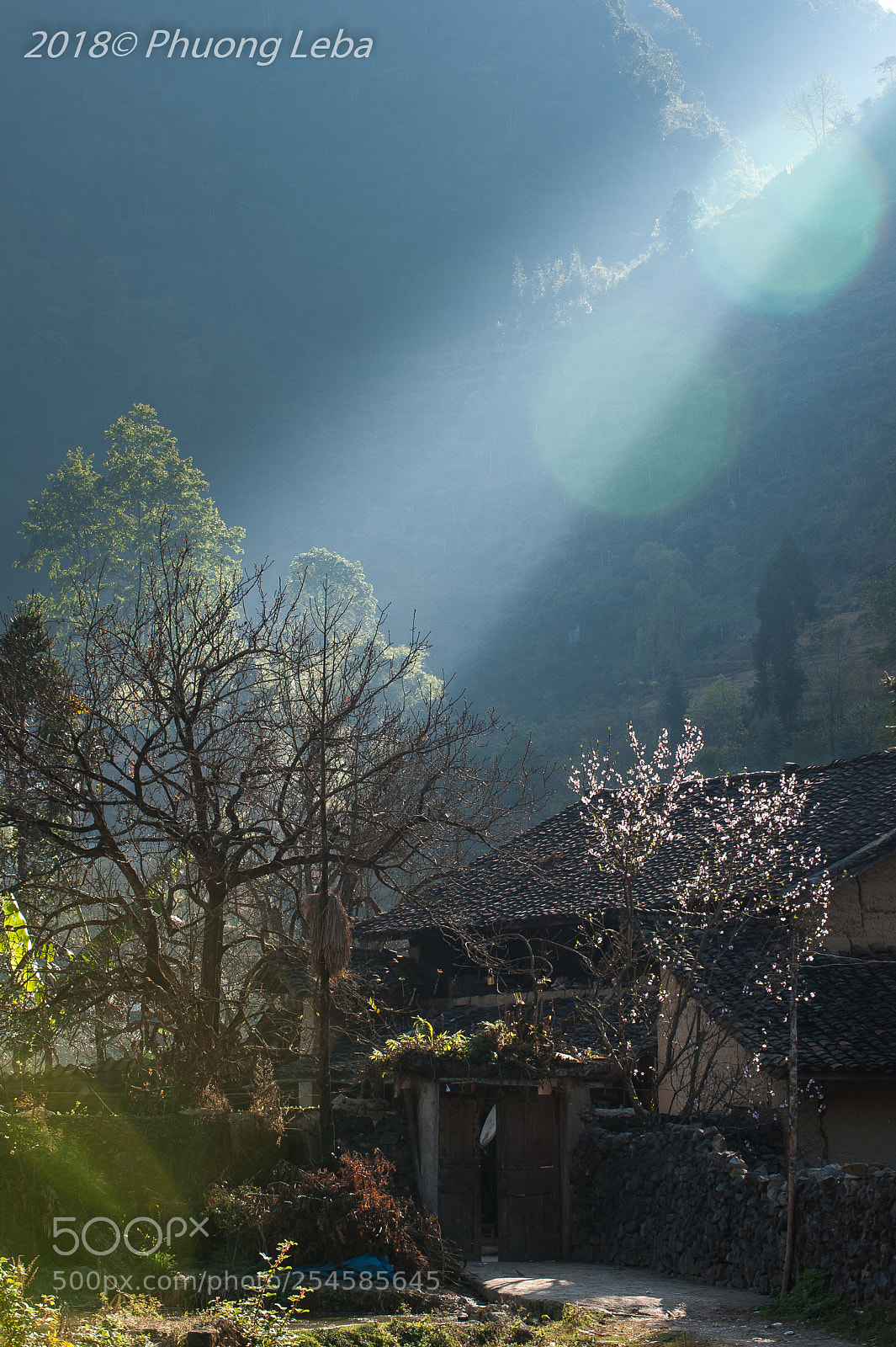 Nikon D700 sample photo. Sun ray photography