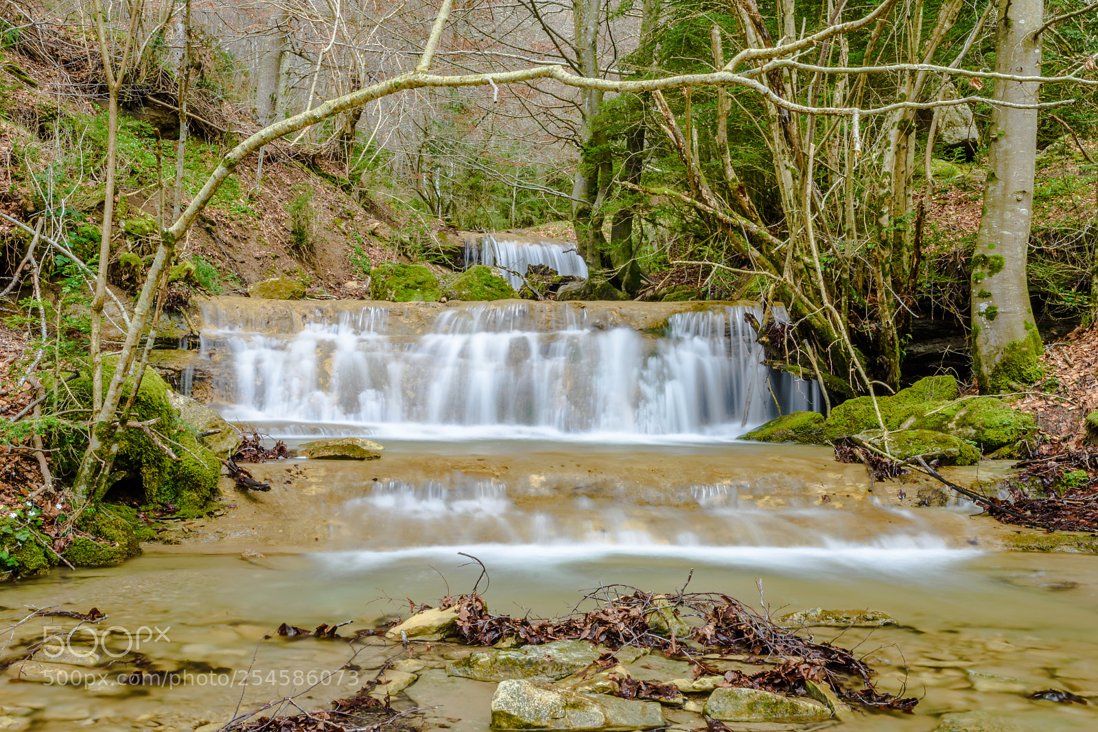 Nikon D7200 sample photo. Pure wild photography