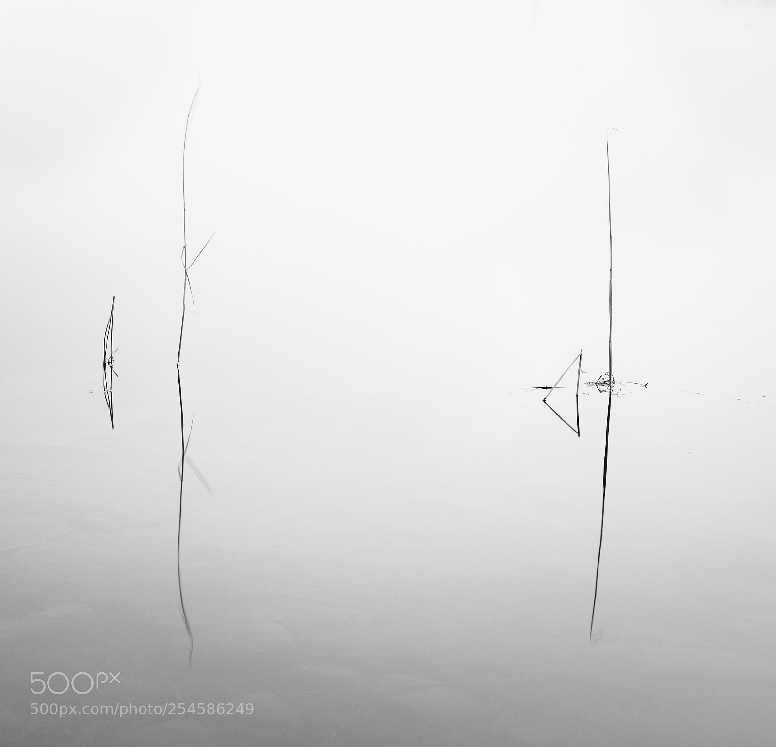 Nikon D610 sample photo. Emptiness photography