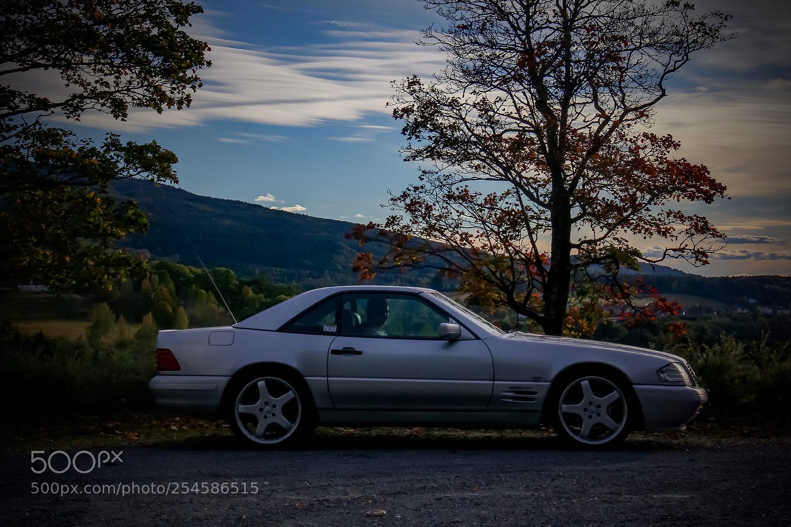 Canon EOS 60D sample photo. Just in fall photography
