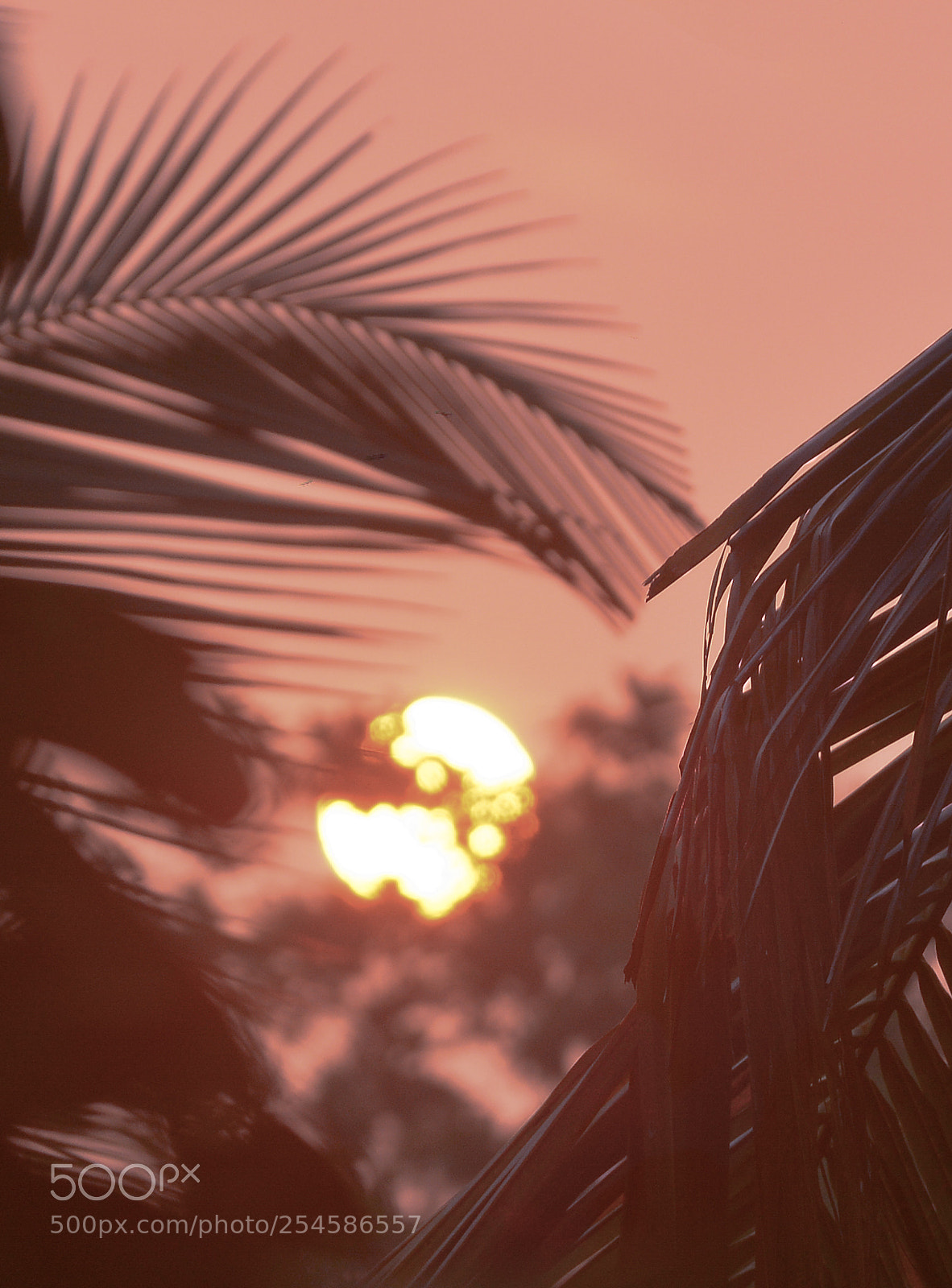 Nikon D7100 sample photo. Sunrise photography