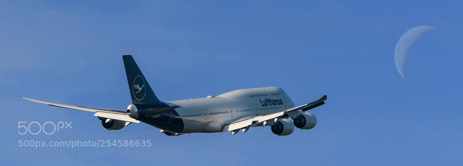 Sony a7R III sample photo. Lufthansa 747-8i new painting photography